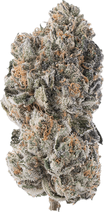 Orange Push Pop image 1